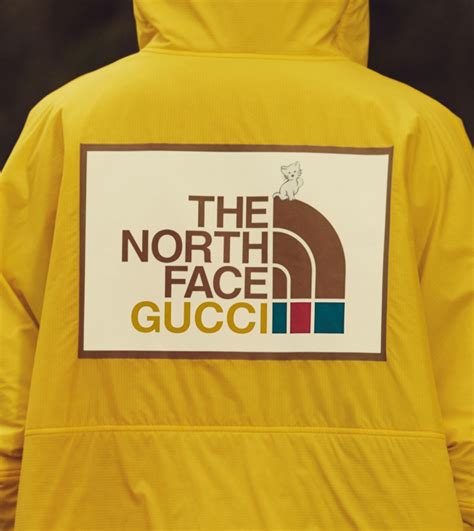 the north face gucci tracksuit|north face Gucci puffer vest.